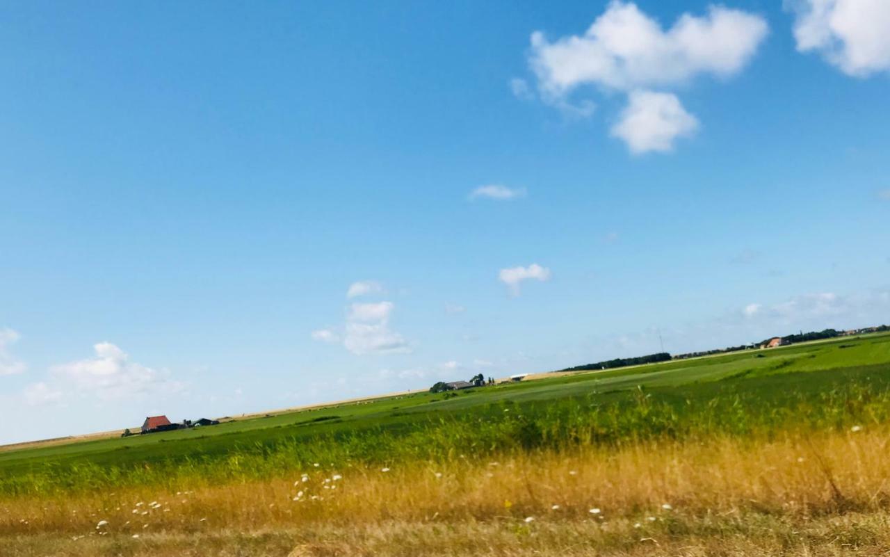 Stinswoning " Waadhoeke " Tzummarum Exteriér fotografie